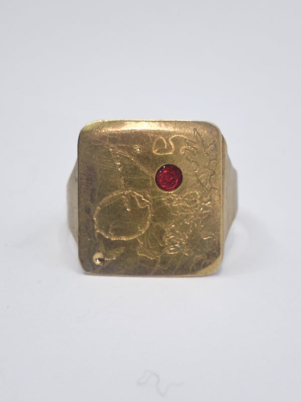 3 of 100 Diary Signet Ring